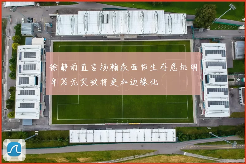 徐静雨直言杨瀚森面临生存危机明年若无突破将更加边缘化